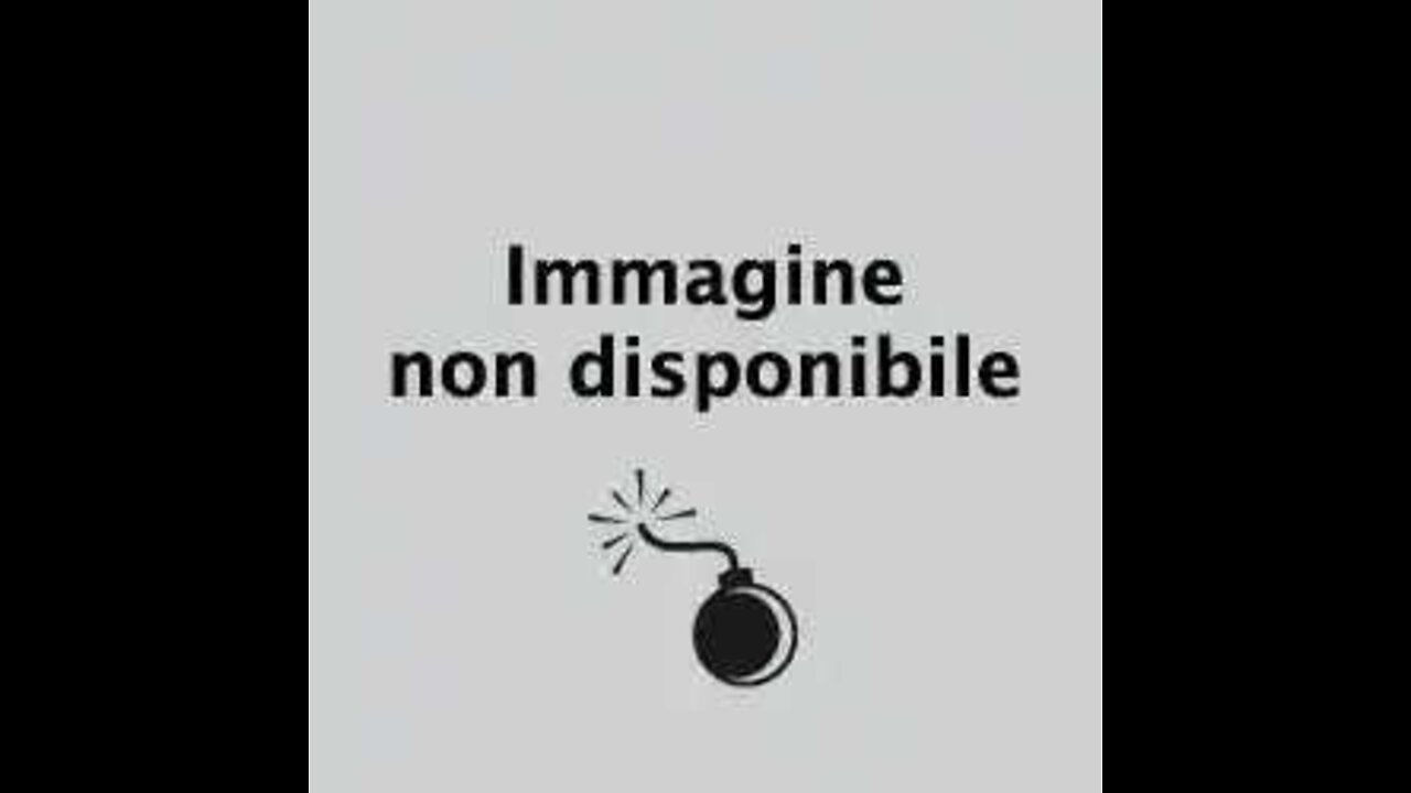 I fascistoni