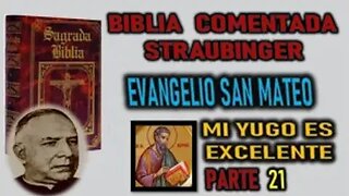 MI YUGO ES EXCELENTE - BIBLIA STRAUBINGER - EVANGELIO SEGUN SAN MATEO