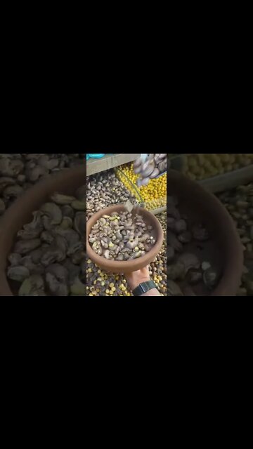 Raw Kaju #ytshorts #shorts #Food #Streetfood #UpFoodReview