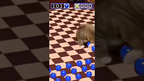 Sonic Special Stage: Cat Edition