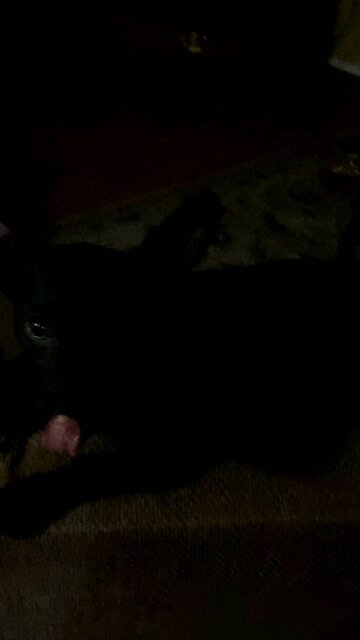 Oliver Chilling like a Villain