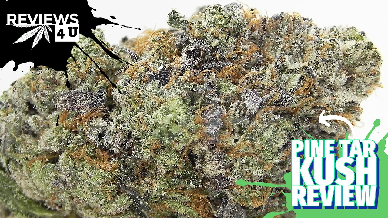 PINE TAR KUSH (CRAFT AAAA) STRAIN REVIEW | REVIEWS 4 U