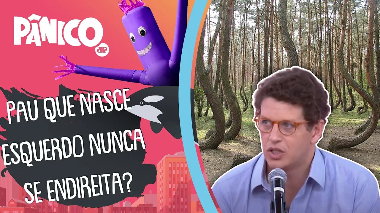 Ricardo Salles fala sobre ENTRADA NA POLÍTICA: 'QUASE NINGUÉM QUERIA SE DIZER DE DIREITA'