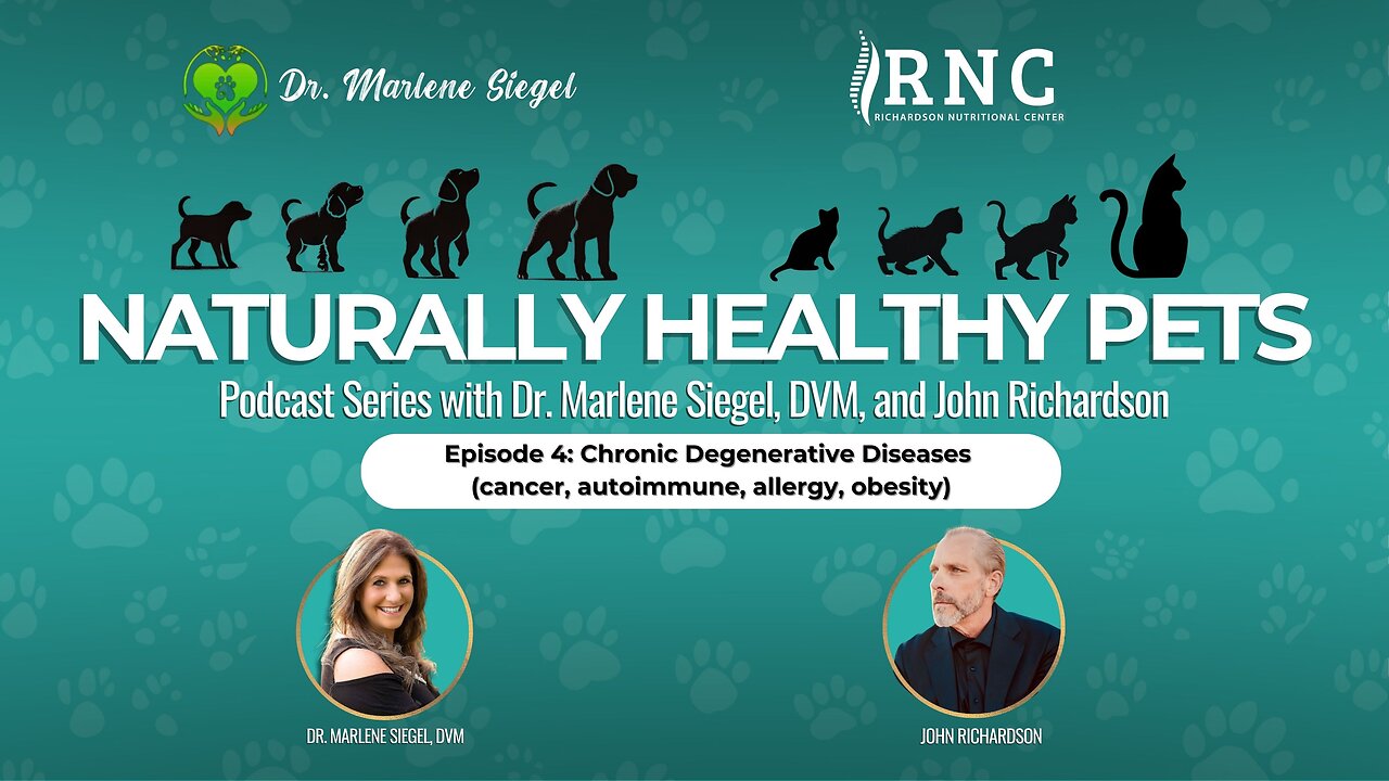 Naturally Healthy Pets - Episode 4: Chronic Degenerative Diseases: Cancer, Autoimmune, Allergy & Obesity