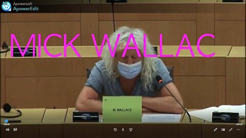 L'eurodéputé Mick Wallace sur la Chine