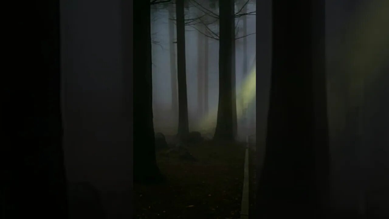 cerita bergambar horor kisah nyata Misteri kkn Desa penari 71 #shorts