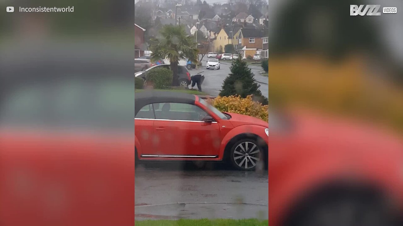 Cet homme continue d'arroser ses plantes en pleine tempête