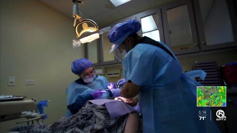 Aspiring Florida dentists, hygienists ask governor to change exam rules for licensure amid coronavirus concerns