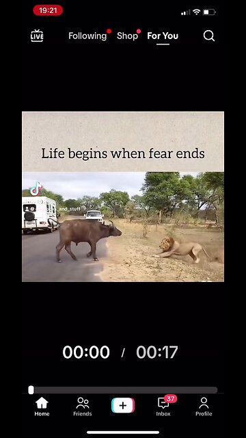 Life Begins When Fear Ends