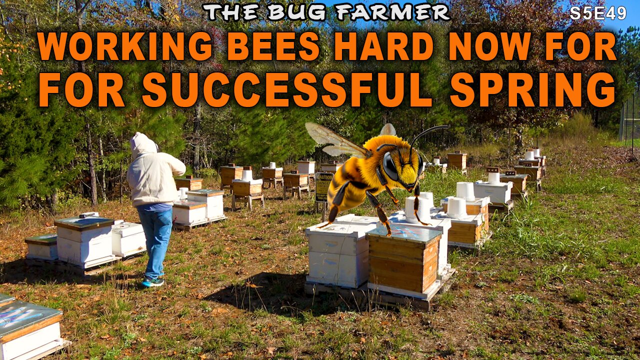 Fall Beekeeping Chores | Putting the farm yard to bed