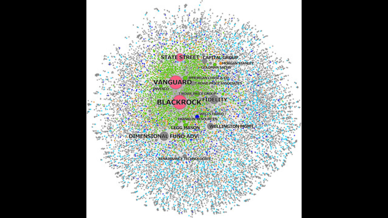 MAGTSTRUKTUREN (Video 7): BlackRock og Sumpadministration