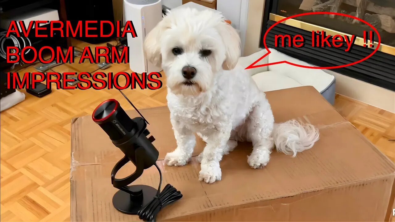 AverMedia BA311 Streaming Boom Arm First Impressions. For AM350 mic, cameras and other microphones