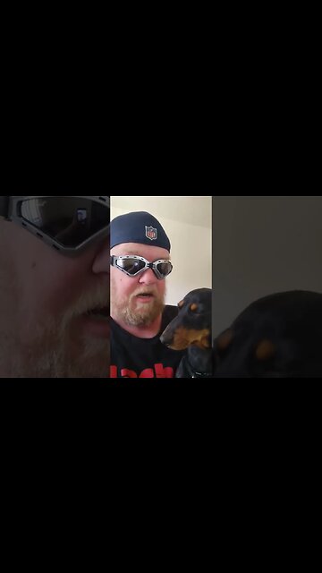 #primehydration saved my puppy from #parvovirus #dogs #puppy #puppies #dogs #dogshorts