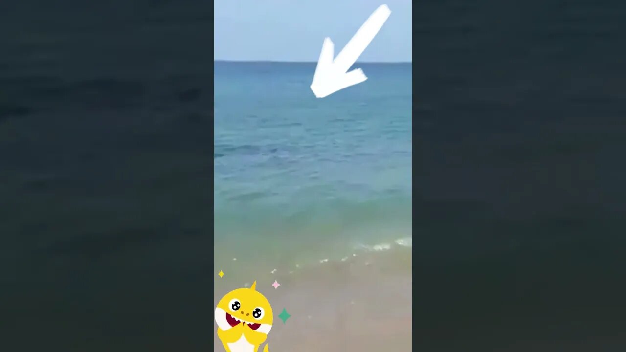 Watch Woman totally calm as Great White shark swims up #shorts