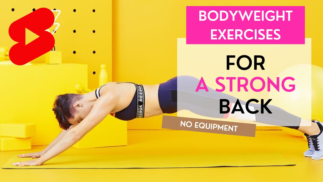 12 Bodyweight Exercises For A Strong Back | Back Workout