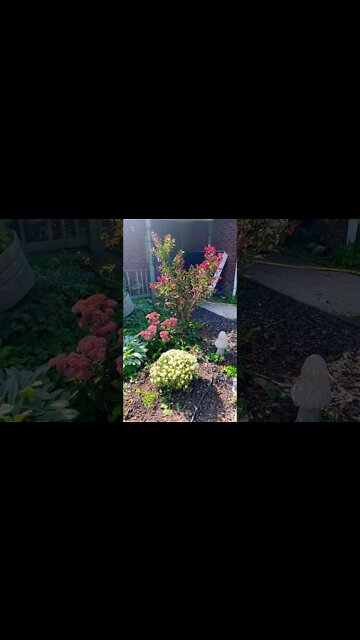 Gorgeous Fall Garden