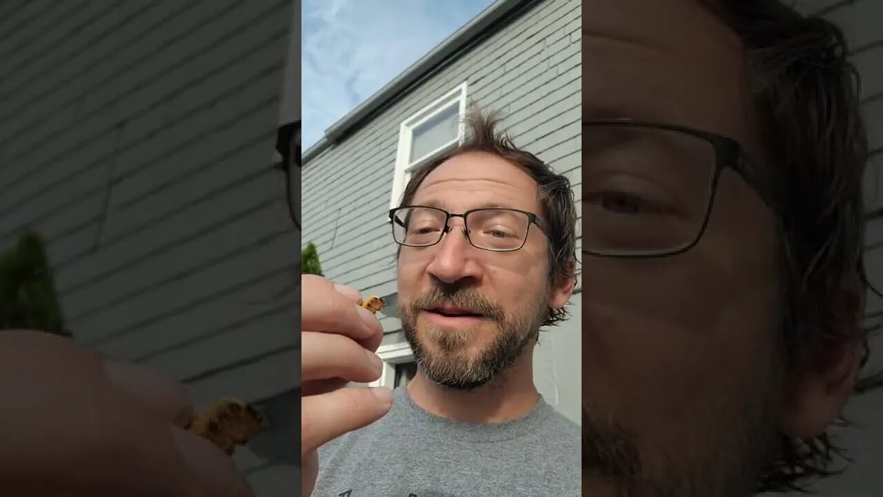 🐛Eating Grilled Caterpillar🐛 #worms #eatingbugs #survival