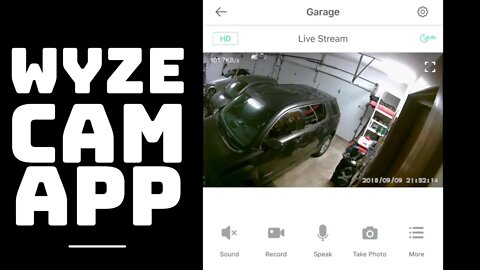 Wyze Cam App Features and Functionality