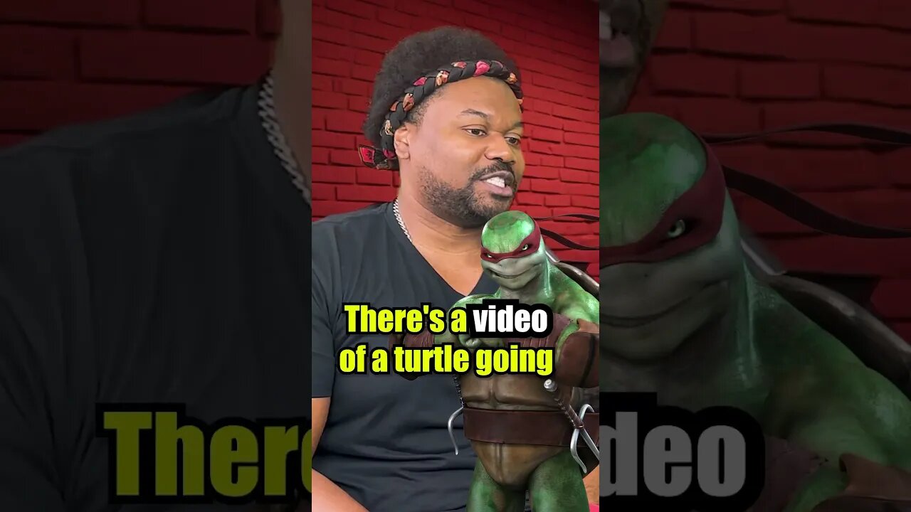 We’re pro plastic straw because turtles are racist. with @ctisdope4391 #podcast #comedy #jokes