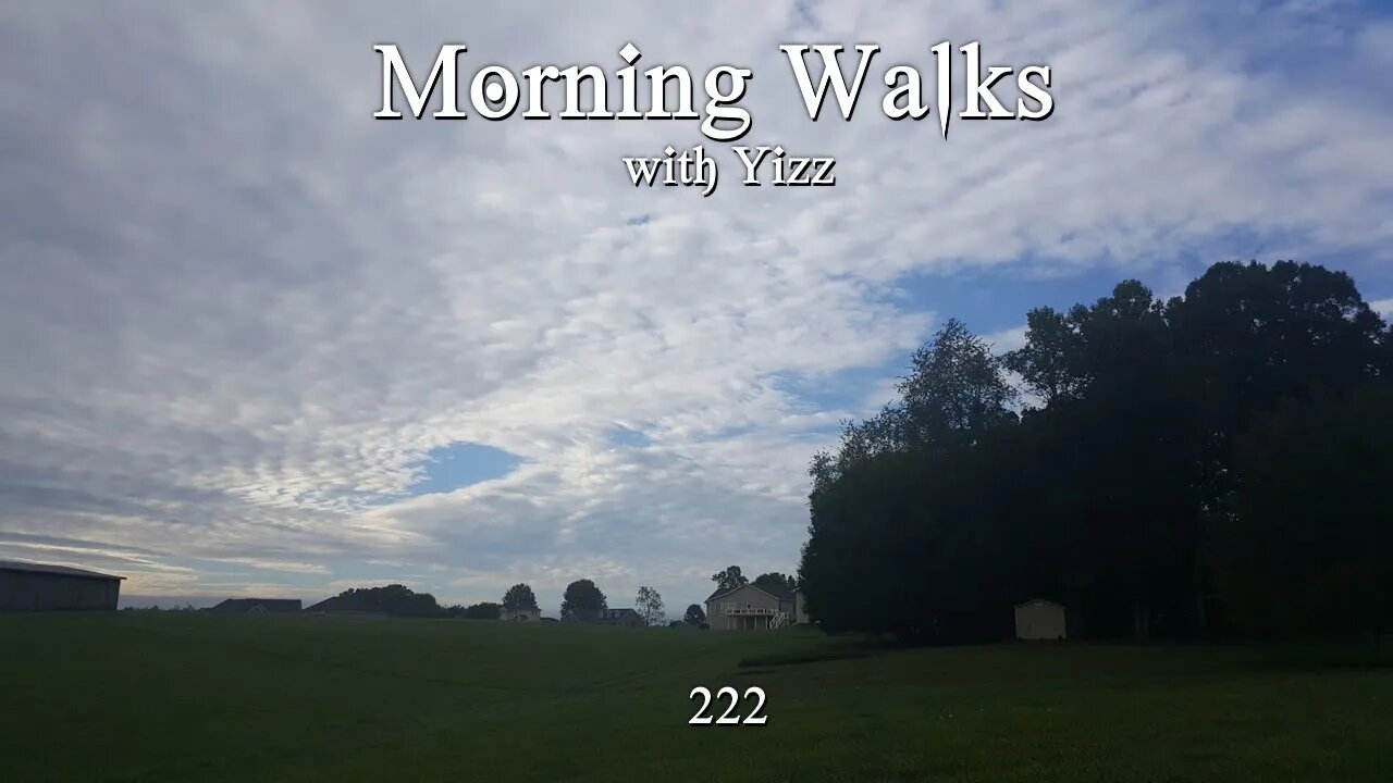 Morning Walks with Yizz 222