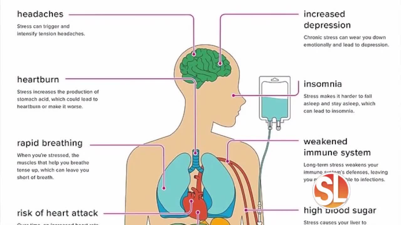 Dr Sonia from AZ Stress Doc says she'll show you how to get to the stress free zone