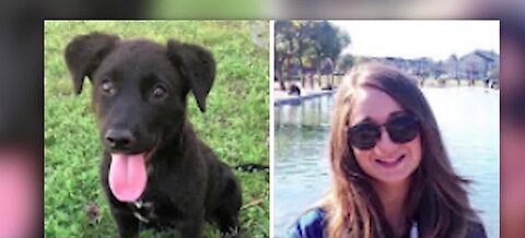 Rescue names dogs after front line workers