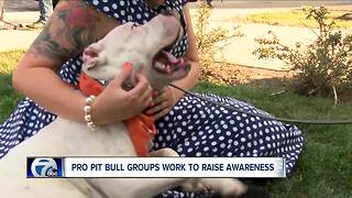 are Pit Bulls welcome in Buffalo?