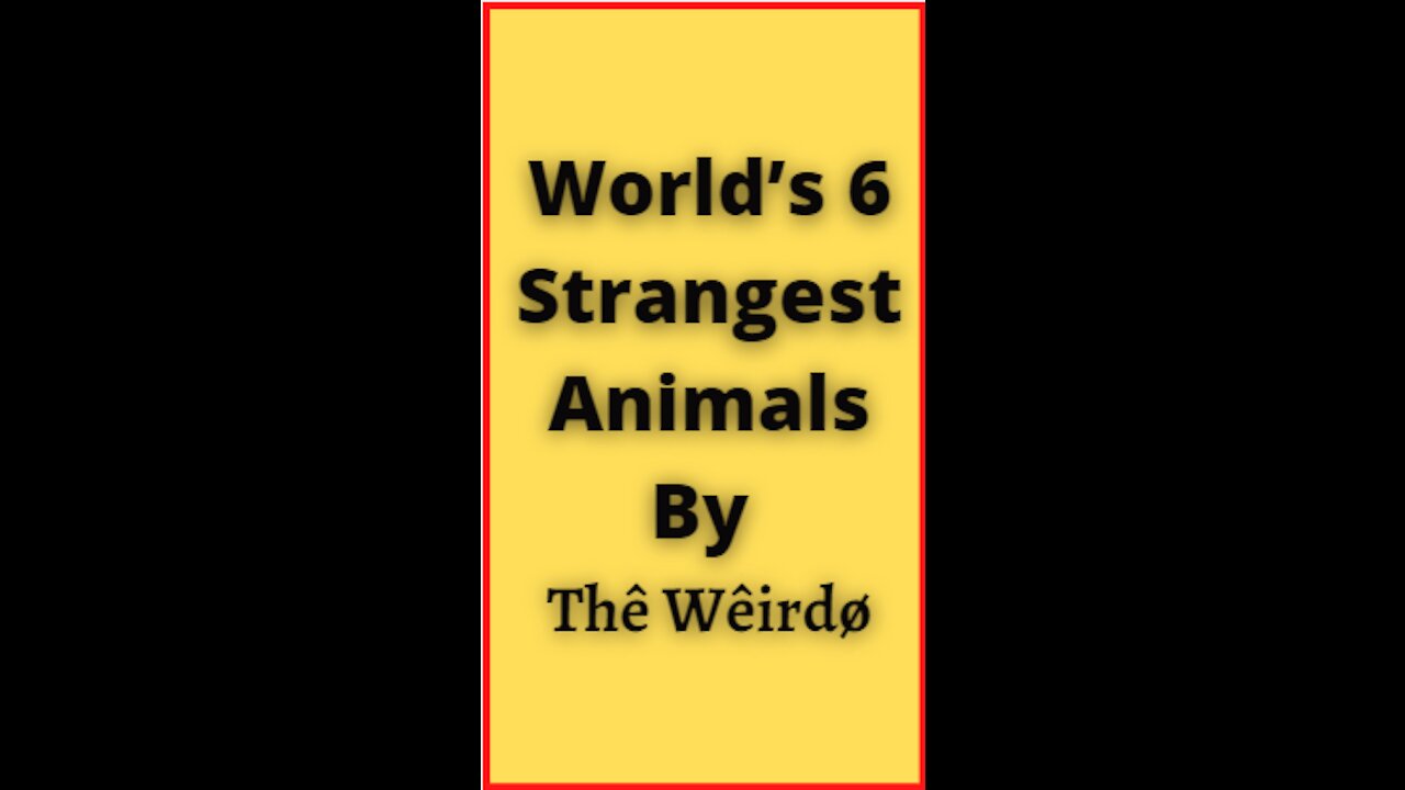 world's 6 strangest animals