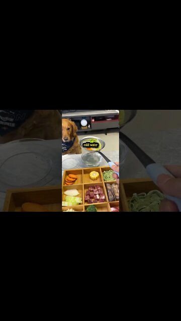 Dog-style hot pot 😆