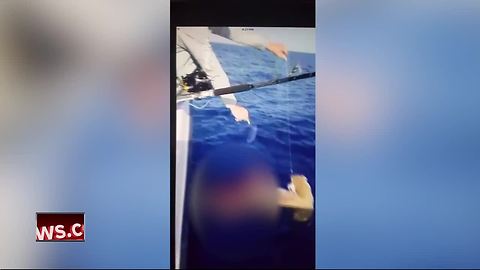 Man shoots hammerhead in new shark abuse video