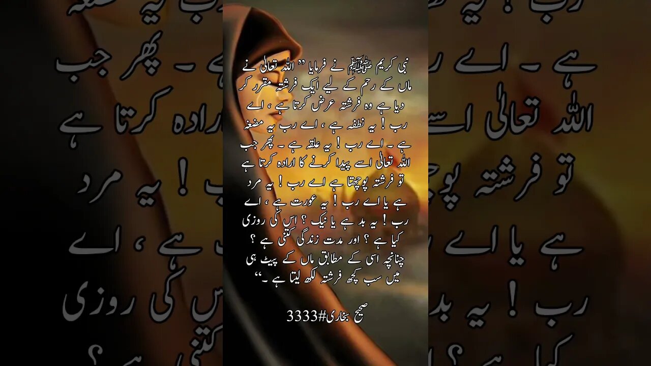 Sahi Bukhari# 3333 #islamicvideo #religion #hadees #hadith #hadeesenabvi #viral #shorts