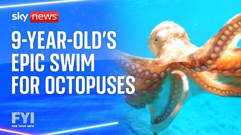 FYI: Nine-year-old swims 2km to raise awareness of octopuses