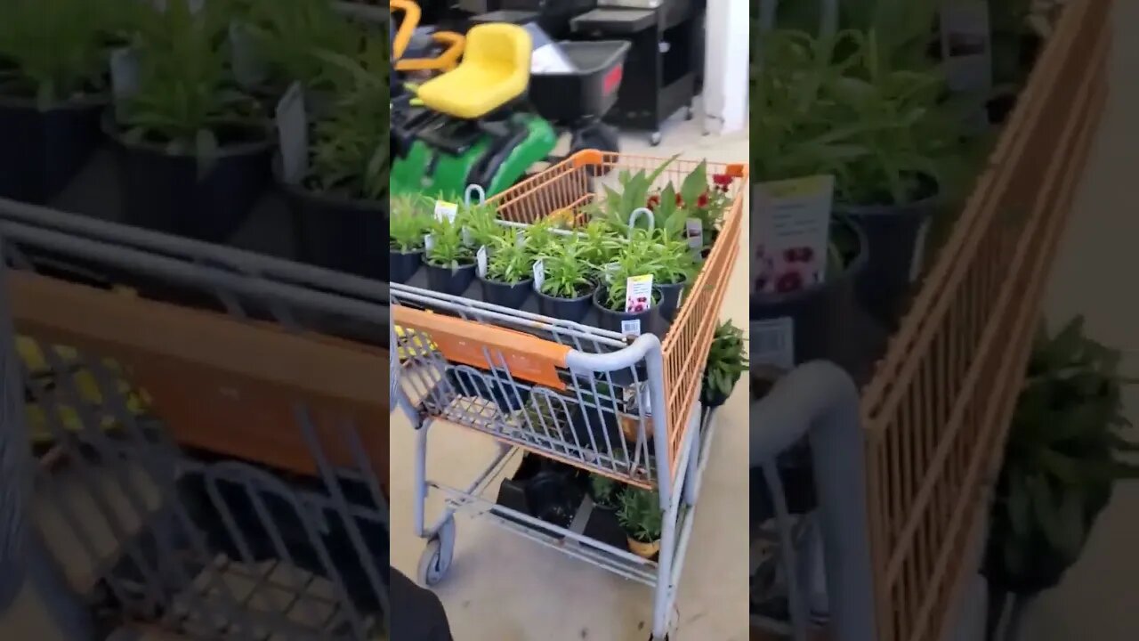 More plants more plants more plants more plants more plants more plants more plants more plants