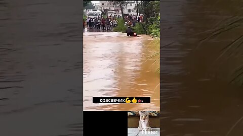 красавчик 💪👍🏍 #shorts