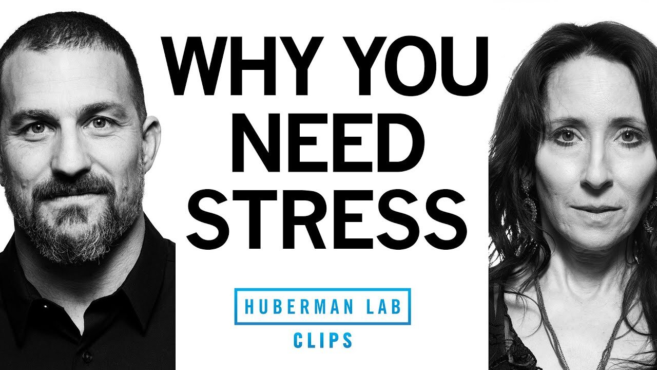 Why You Need Stress in Your Life | Dr. Elissa Epel & Dr. Andrew Huberman