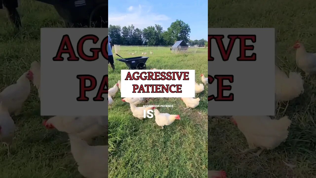 Aggressive Patience