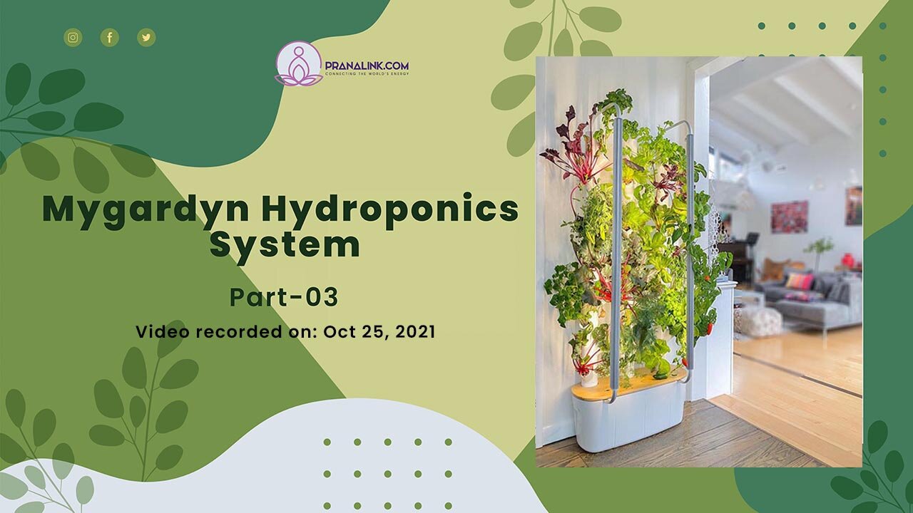 Mygardyn hydroponics system| PART 3 | PRANALINK.COM