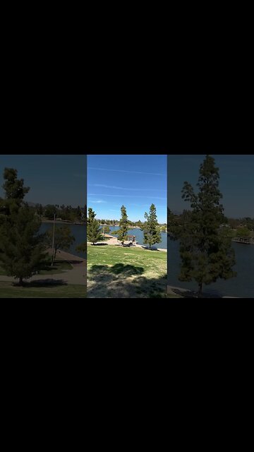 It’s ok to be homeless today