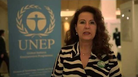 Dr. Lisa Matrise of Australians for Mercury Free Dentistry & The Minimata Convention on Mercury
