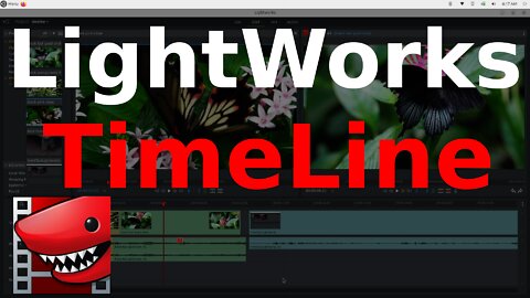 Lightworks Working in the Timeline