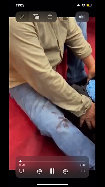 Watch as the #Sydney priest attacker is detained