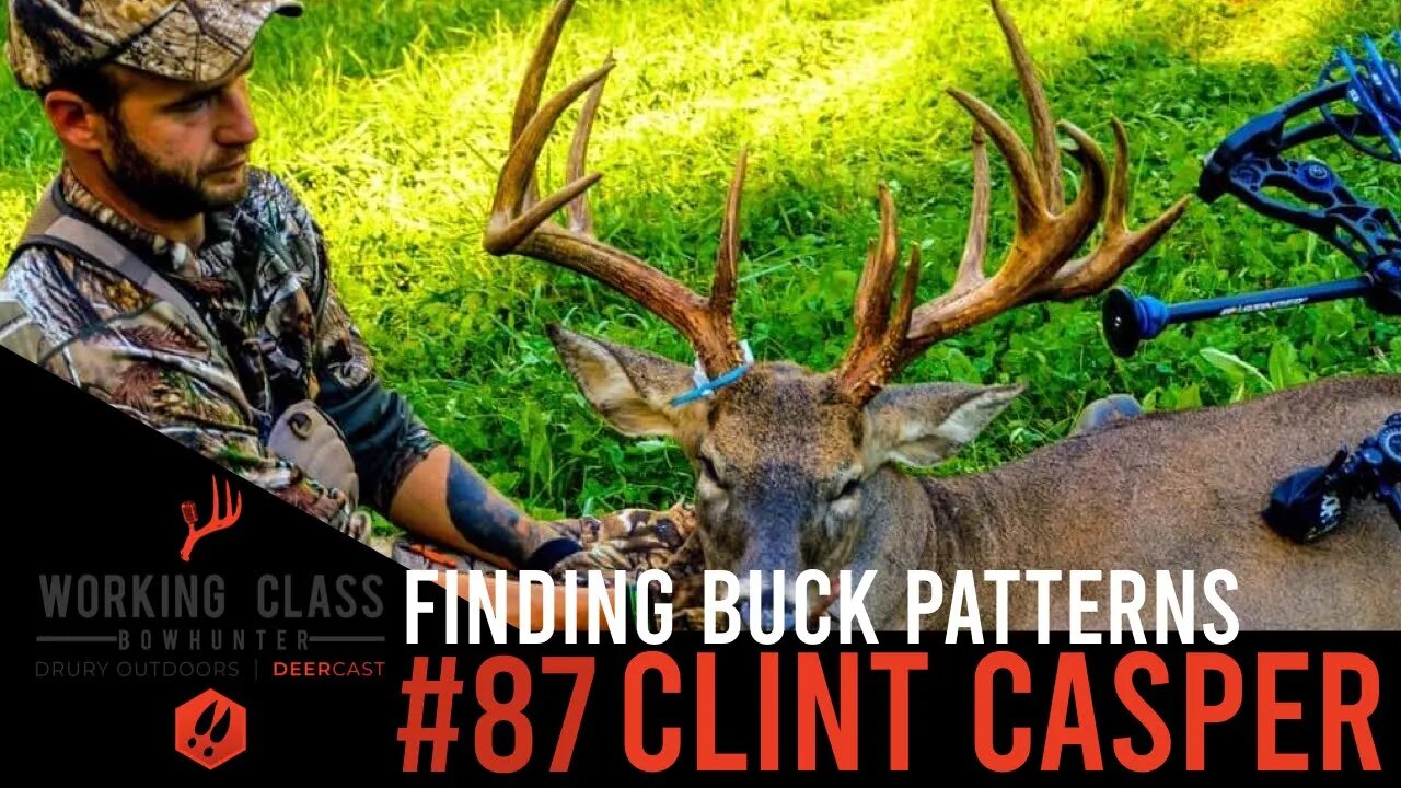 Pattern Big Bucks - Clint Casper #87 WCDC