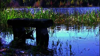 30 Minute NATURE Deep Sleep Music: Calming Music, Relaxing Music, Soothing Music, Calming Music,