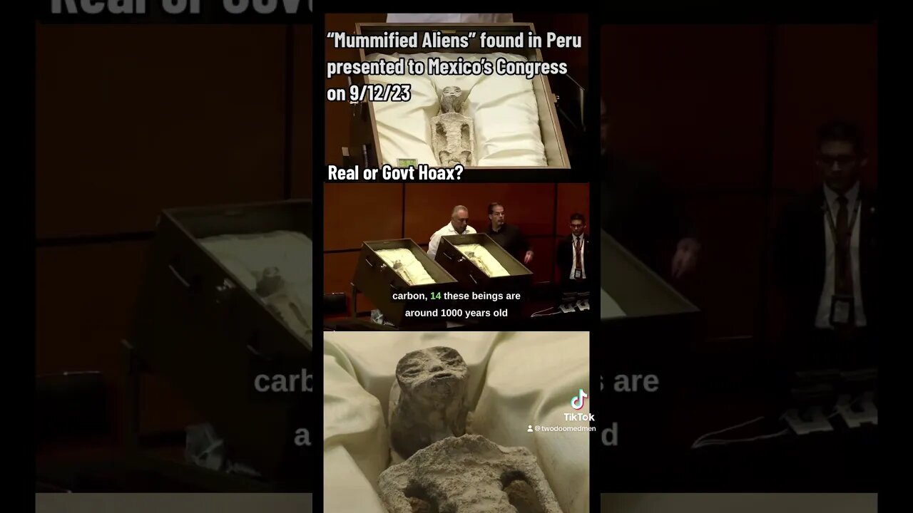 "Mummified Aliens" discovered in Peru presented to Mexican Congress on 9/12/23, Real or Hoax?