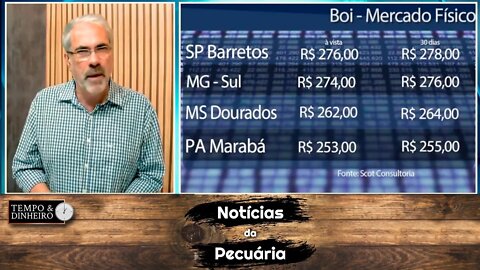 Boi gordo não encontra suporte para alta