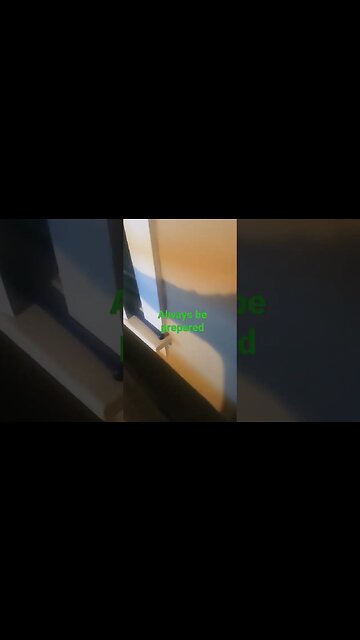 stay strapped #homedefense #defense #bat #dogs #etc