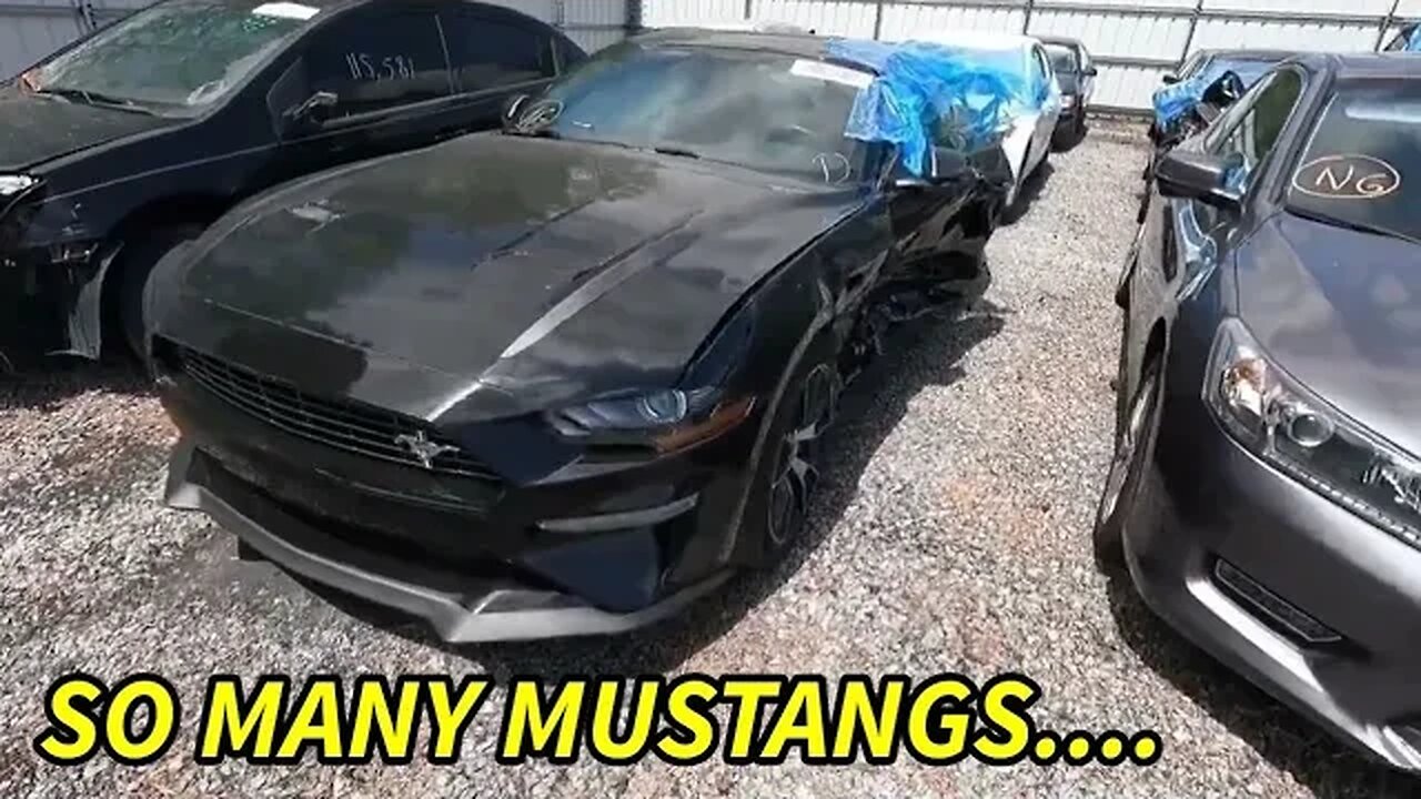 So Many Mustangs Copart Walk Around