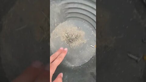 Using a vacuum cleaner to find lost gold!
