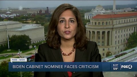 Biden cabinet nminee faces criticism