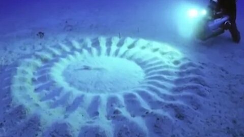 8 Most Mind-Blowing Things That Can Be Found Underwater